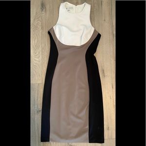 Form-fitting Professional Dress